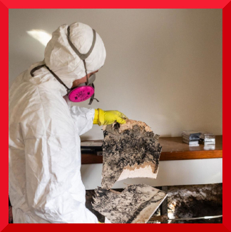 man in protective cloting and mask looking at mold damaged flooring300 300border